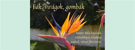 Fák, virágok, gombák - Notter Béla (Isaszegi Természetbarát Klub ...