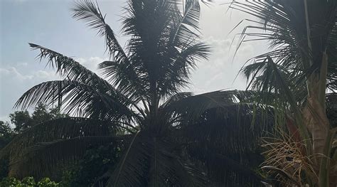 SEA VIEW BEACH RESORT (Nagaon) - Inn Reviews, Photos, Rate Comparison ...