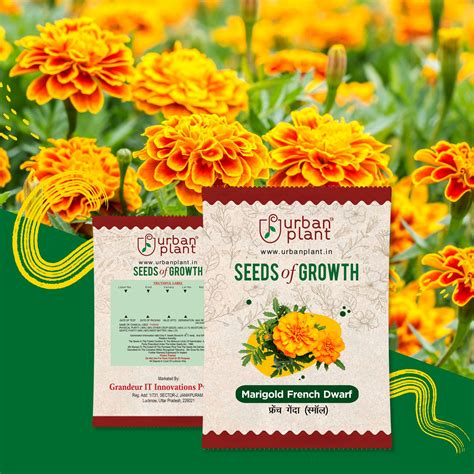 Marigold French Dwarf Flower Seeds