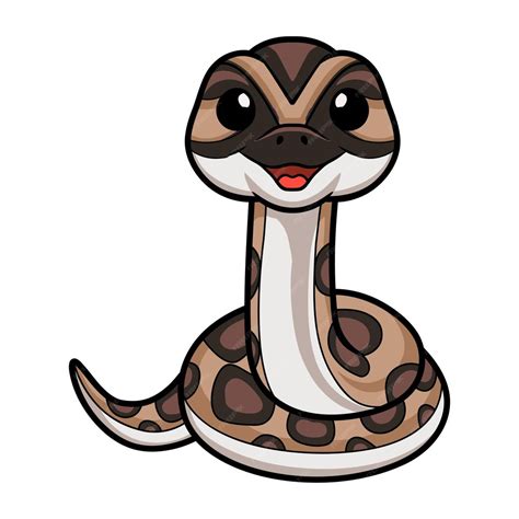 Image result for Video That Makes Python's Look Cute