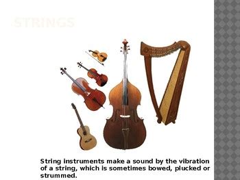 Image result for Stringed Instruments