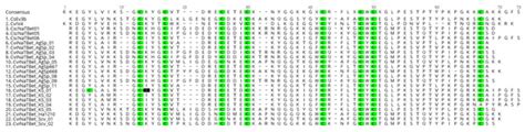 Reduced Toxicity of Centruroides vittatus (Say, 1821) May Result from ...
