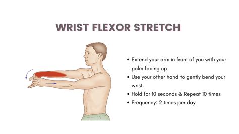 Elbow Pain Exercise | Specialist Orthopedic Doctor in Qatar