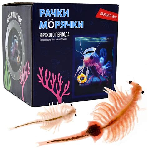Мини-набор Лучшие Эксперименты Рачки-морячки (вырасти рачка) - купить с ...