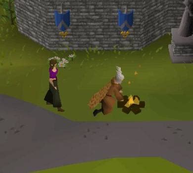 Image result for OSRS Cooking Guide Theoatrix