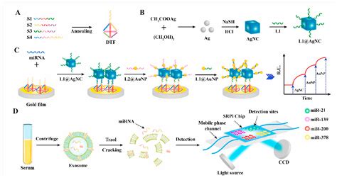 Research Progress on Nanomaterials in SPR Sensors