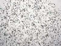 3dGRO™ Pancreatic Organoids (OCIP.180) | SCC717