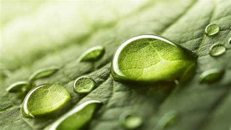 2020 DOW JONES SUSTAINABILITY INDICES INDUSTRY LEADERS: BUREAU VERITAS ...