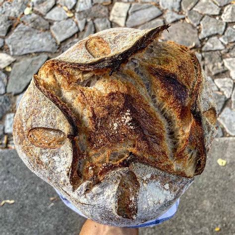 Basic Cooking Course 的图像结果