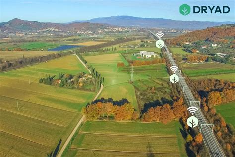 Image result for Dryad Programming