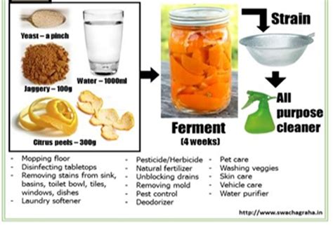 Make your own bio enzyme >