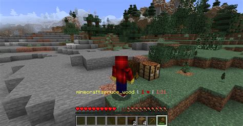 Minecraft Block Shuffle Mod for Java 1.18.2 的图像结果