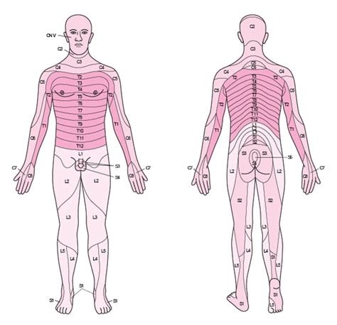How to Assess Sensation - Neurologic Disorders - MSD Manual ...
