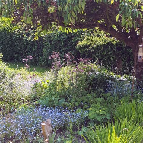 Rainbow Nature 的图像结果