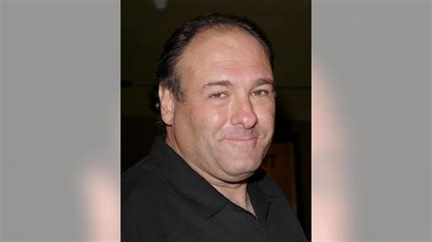 Then/Now: The Cast of 'The Sopranos' | Fox News