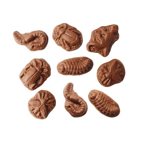 Solid Chocolate – Vermont Nut Free Chocolates