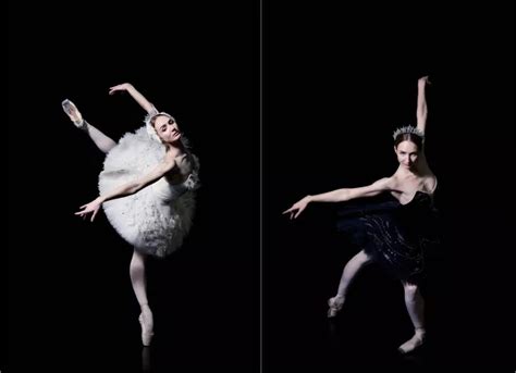 芭蕾舞《天鹅湖》上海演出门票_2019芭蕾舞《天鹅湖》上海站【购票】-大河票务网官方网站