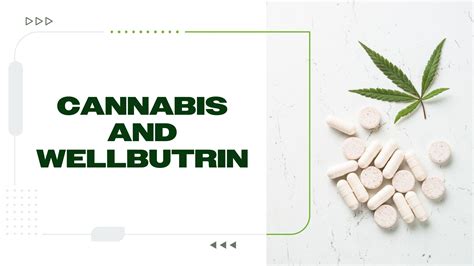Cannabis CentralCannabis Central