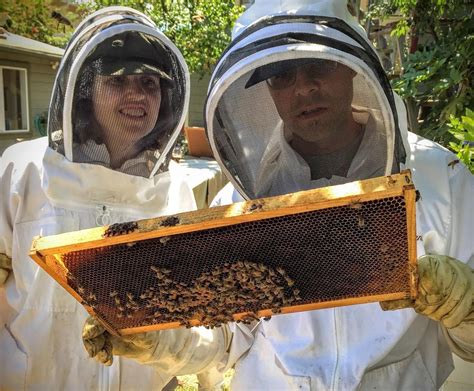 Hive Inspection Class (Beekeeping) - Urban Farm Oasis