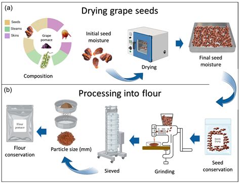 Advances in Grape Seed Oil Extraction Techniques and Their Applications ...
