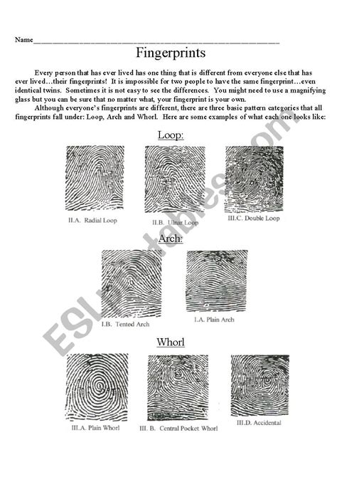 Image result for Fingerprint Matching Worksheet