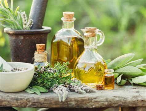 5 Medicinal Herbs to Grow in Your Garden