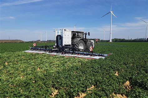 Mospilan spritzen? In diesen Gemüsearten ist Acetamiprid nicht mehr ...