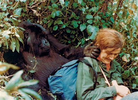 Dian Fossey | Biography, Research, Books, & Facts | Britannica