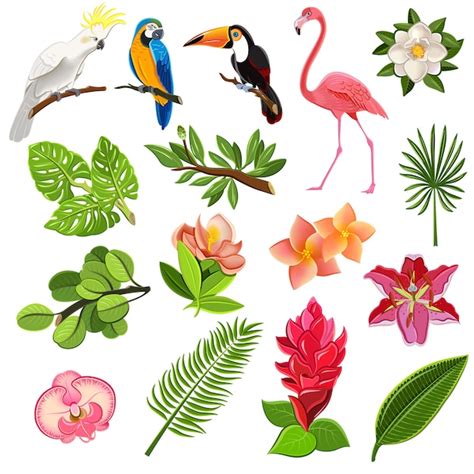Conjunto de pictogramas de aves e plantas tropicais | Vetor Grátis