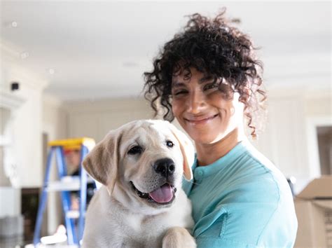 ADT Motion Sensor Troubleshooting 的图像结果