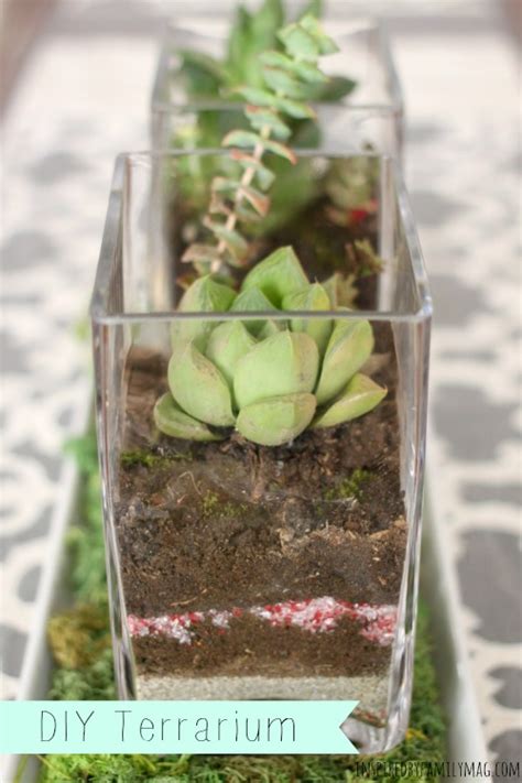 Image result for Terrarium Making111