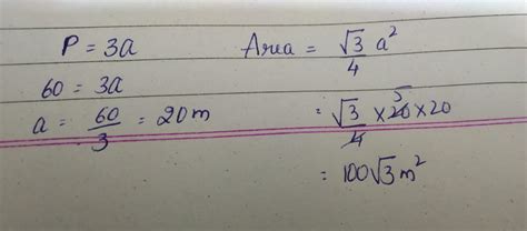 The perimeter of an equilateral triangle is 60 m find its area - Brainly.in