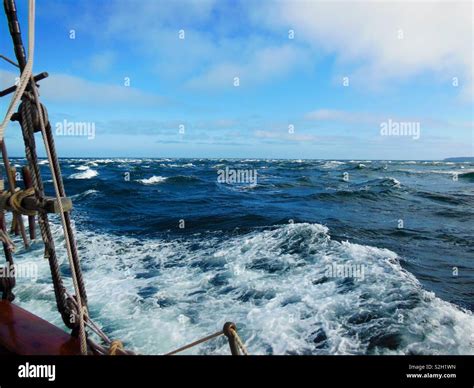 Road Bumpy Ride 的图像结果