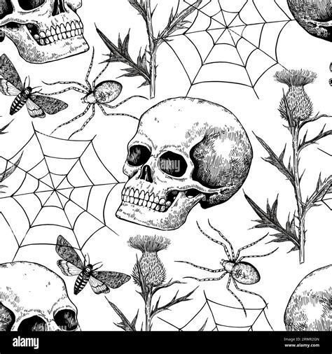 Spider Web Skull Art