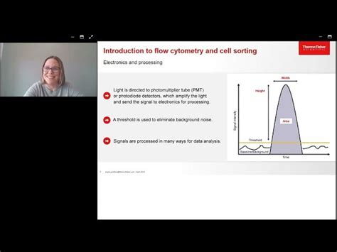 Image result for Cell Sorting Flow Cytometry PPT
