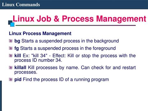 Image result for Linux Filesystem Management