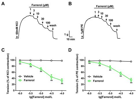 Relaxation of Rat Aorta by Farrerol Correlates with Potency to Reduce ...