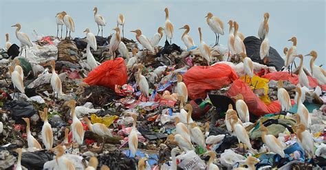 To encourage more recycling, we need to change the way we value plastic