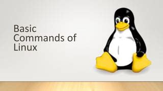 Learning Linux Basics 的图像结果