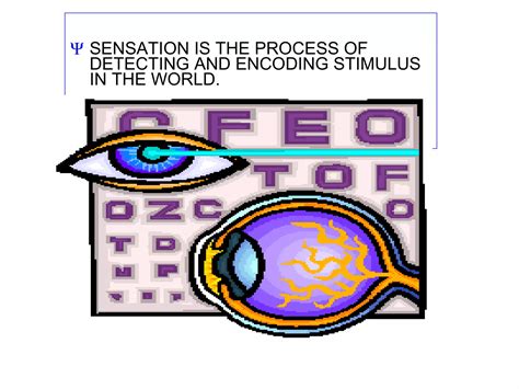 Image result for Sensation and Perception Examples
