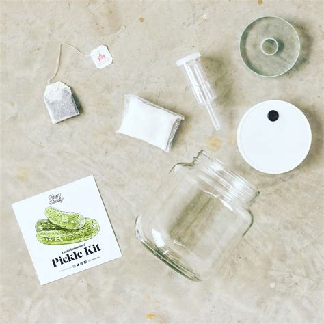 Fermented Pickle Making Kit - FarmSteady - Touch of Modern