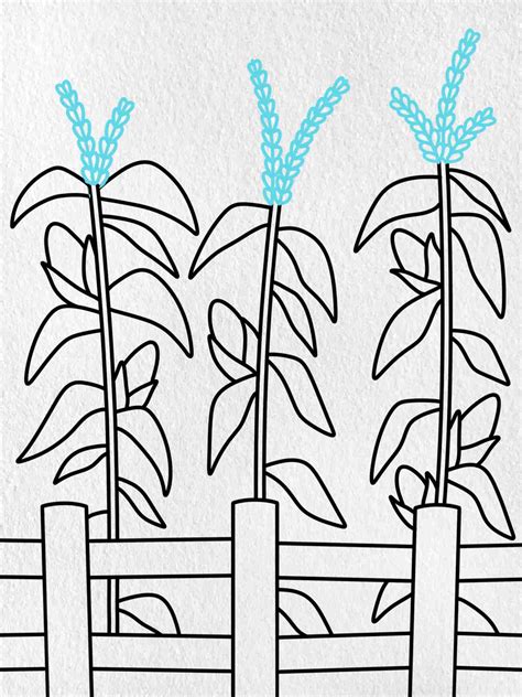 Field Of Corn Drawing at JENENGE blog