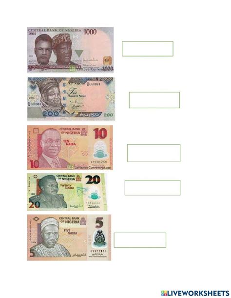 Worksheets for Learning Money 的图像结果