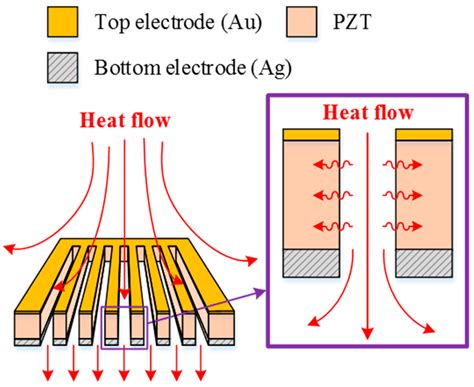 A Strip Cell in Pyroelectric Devices