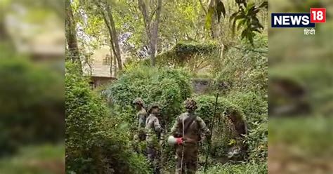 Politics: बाघ के हमले में चरवाहे की मौत पर सियासत, कांग्रेस ने मृतक के ...