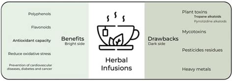 The Bright and Dark Sides of Herbal Infusions: Assessment of ...