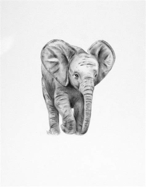 elephant drawing small