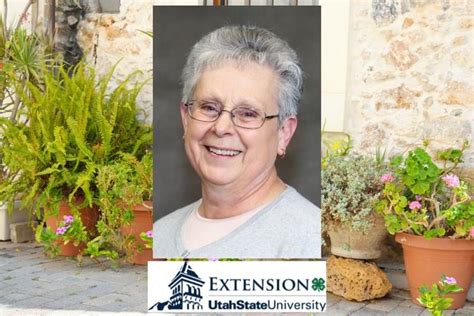Kathy Riggs receives USU Extension's top award | Local News ...