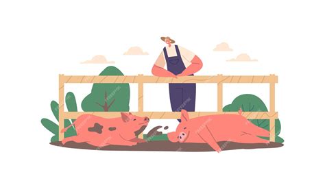 Farmer male character standing at fence observing pigs wallowing in mud ...