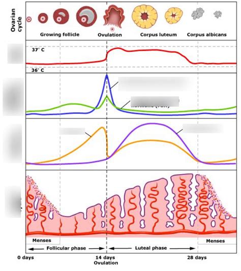 Period Cycle Graph 的图像结果